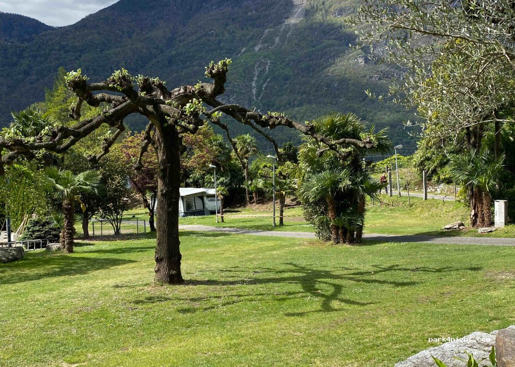 Campeggio Al Censo — foto