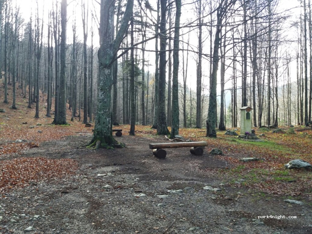 (6250) Ilirska Bistrica - 101 Sviščaki — foto 2