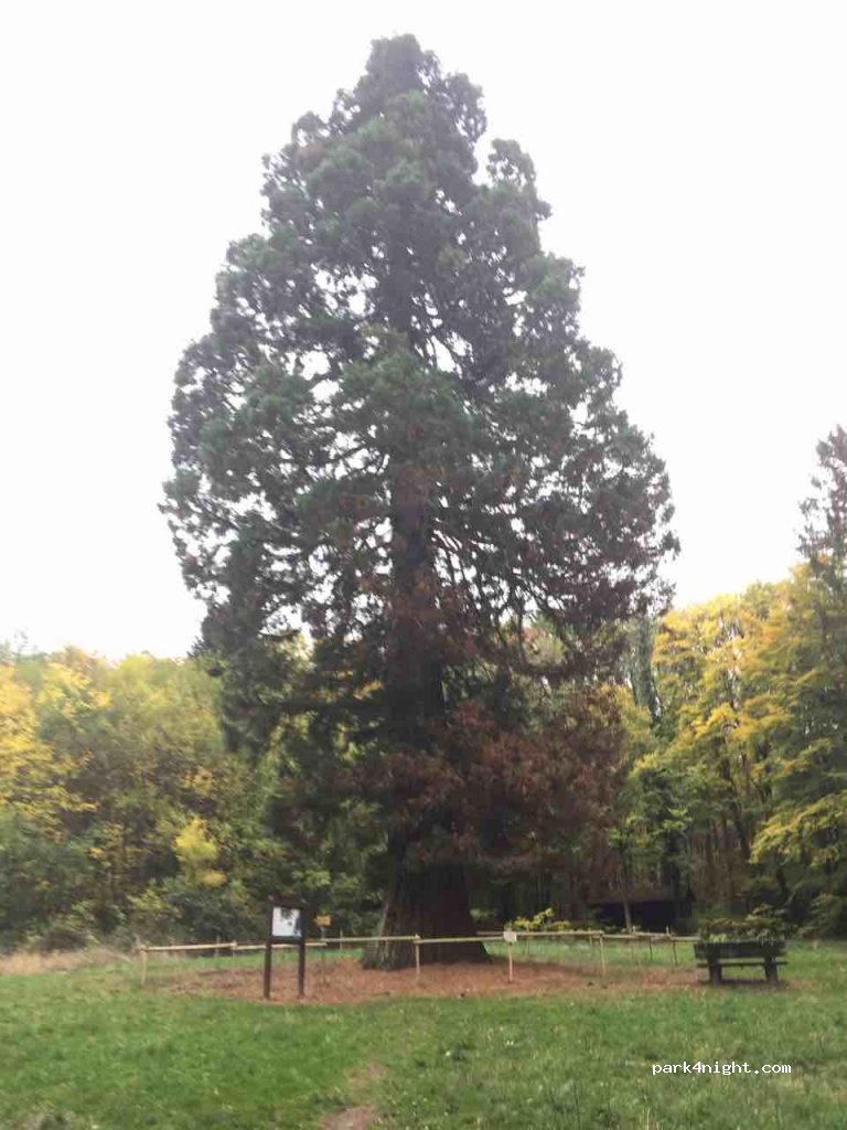 () Schotten - — foto 2