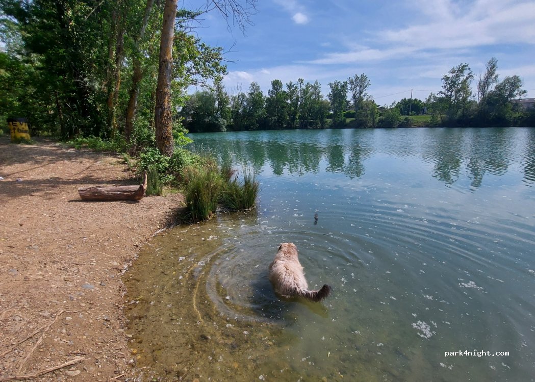 (31150) Lespinasse - 14 Chemin de Peyrailles — foto 2