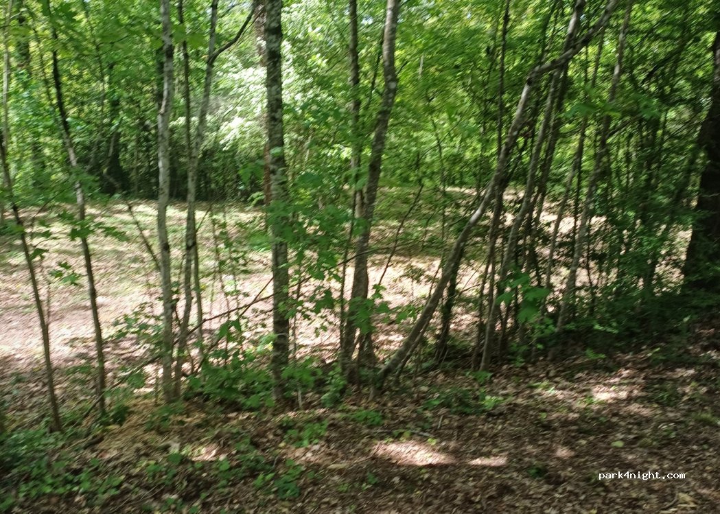Camping Les Monts d'Albi — foto 2