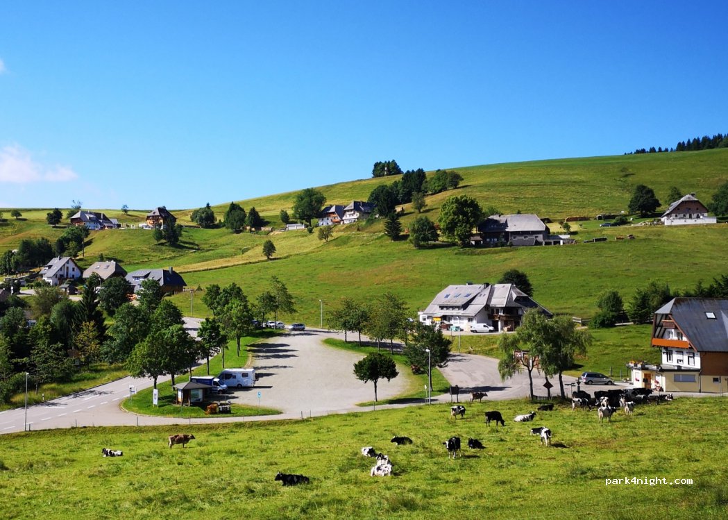 (79254) Hofsgrund - Silberbergstr. — foto 4
