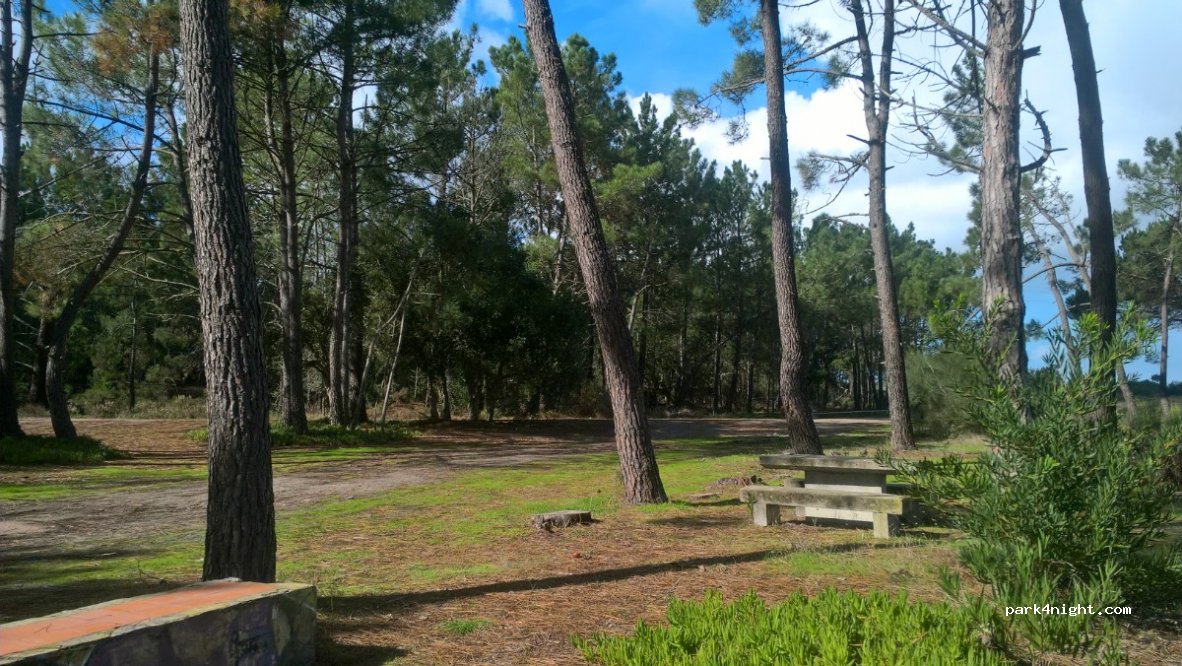 (7630-174) Odemira - N120 — foto
