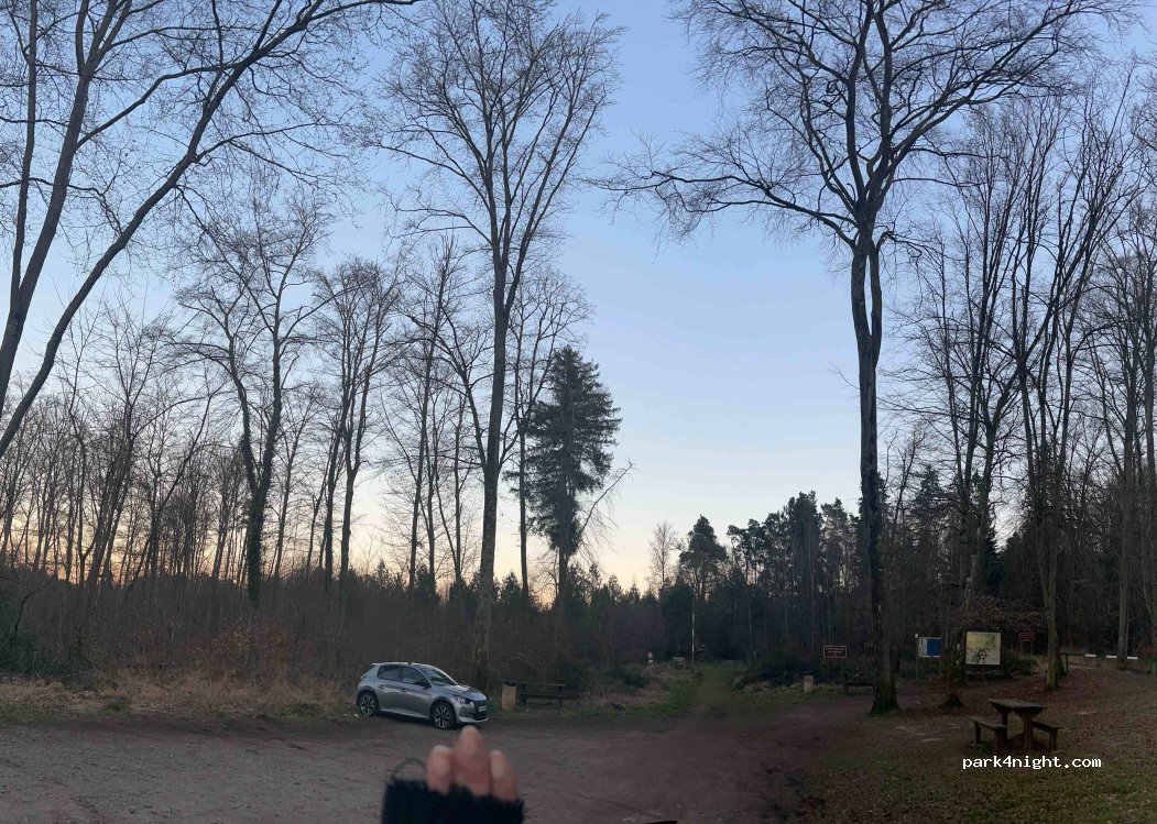 (57550) Falck - 4 Route de Creutzwald — foto 3
