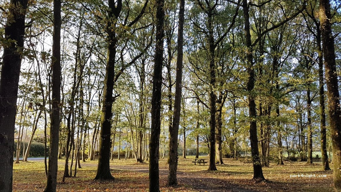 (85570) Marsais-Sainte-Radégonde - Plissette — foto 3