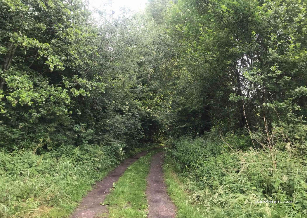 (62840) Lorgies - 109 Rue du Bois du Biez — foto 2