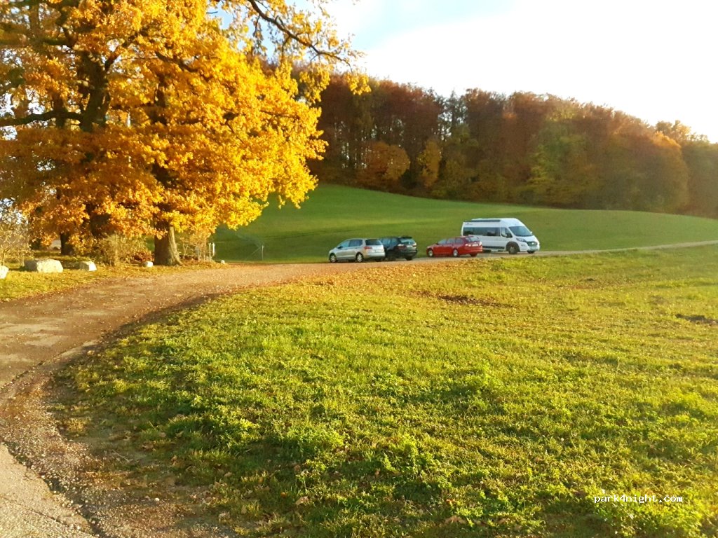 (4451) Wintersingen - — foto 2