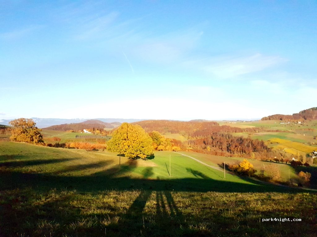 (4451) Wintersingen - — foto 3