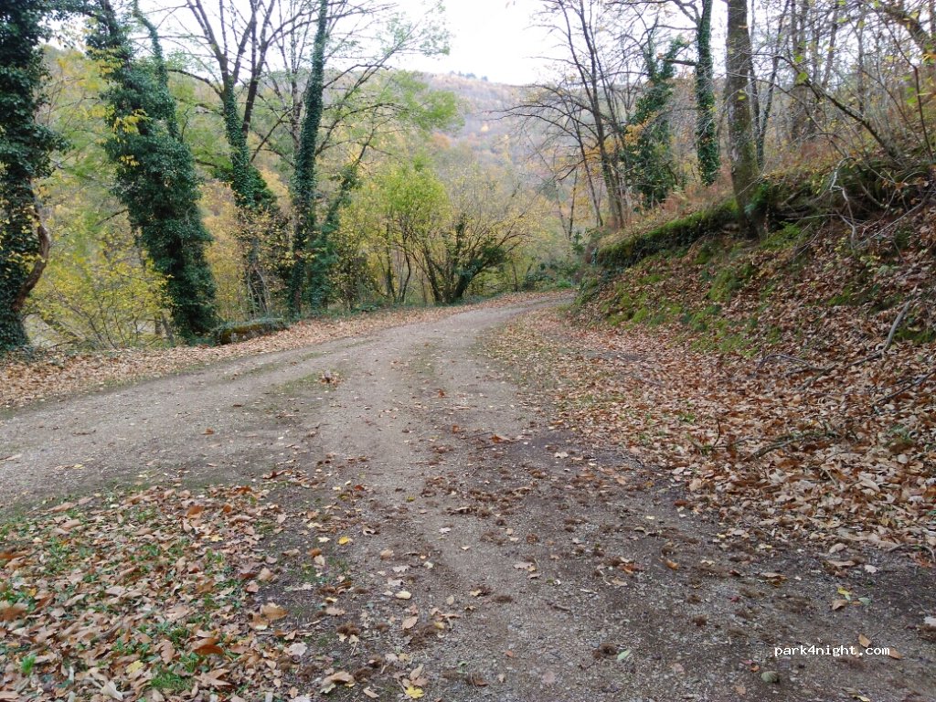 (12460) Montézic - Phalip — foto 2