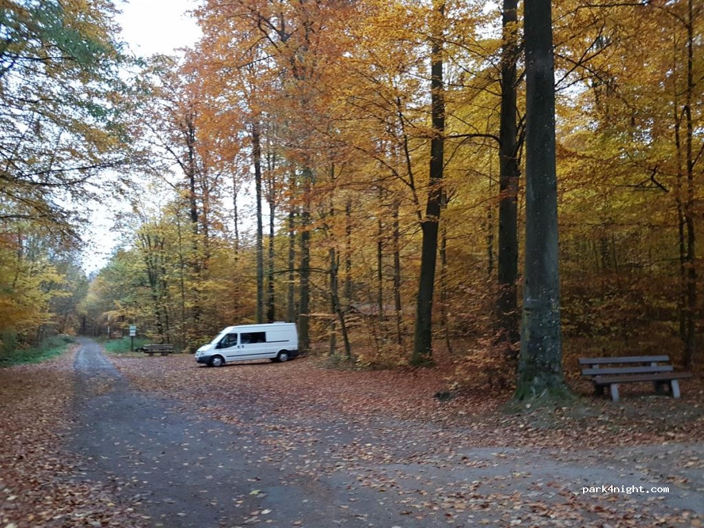 (74909) Meckesheim - Breiter Weg — foto