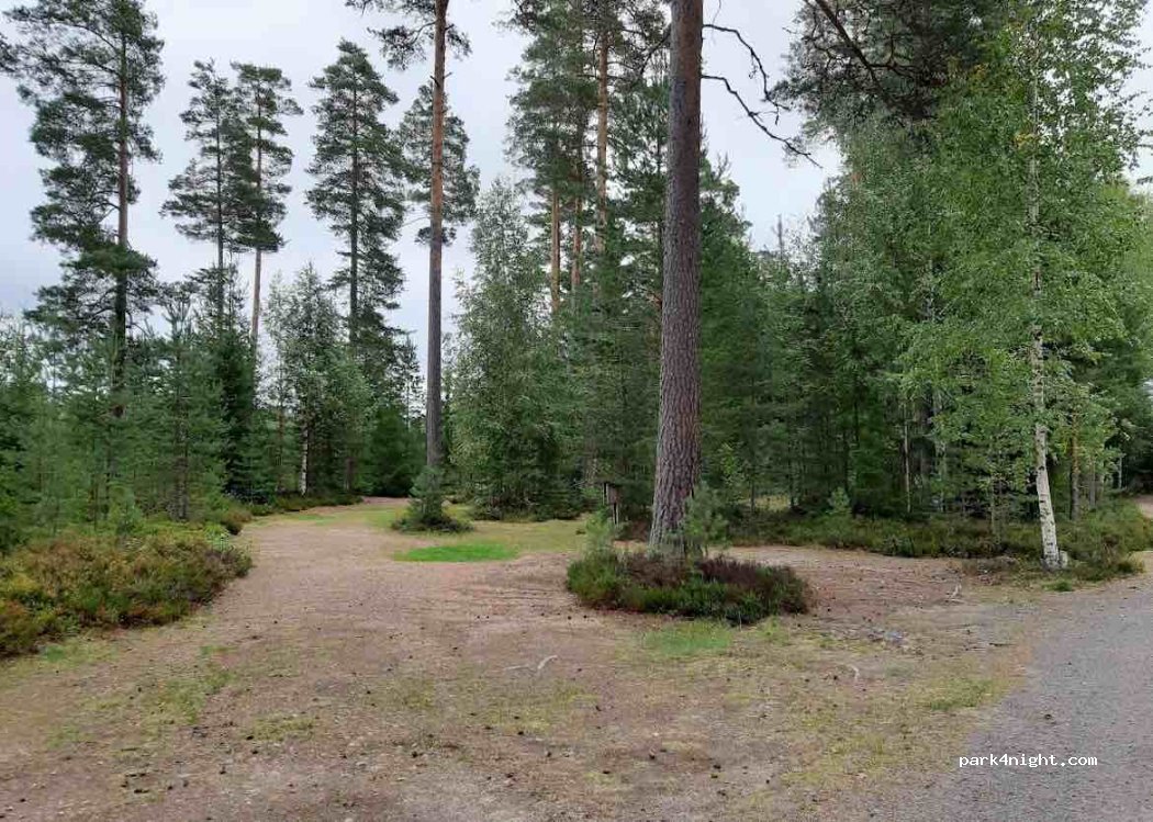 Nya Skogsgården-camping-hostel-vandrarhem — foto 2