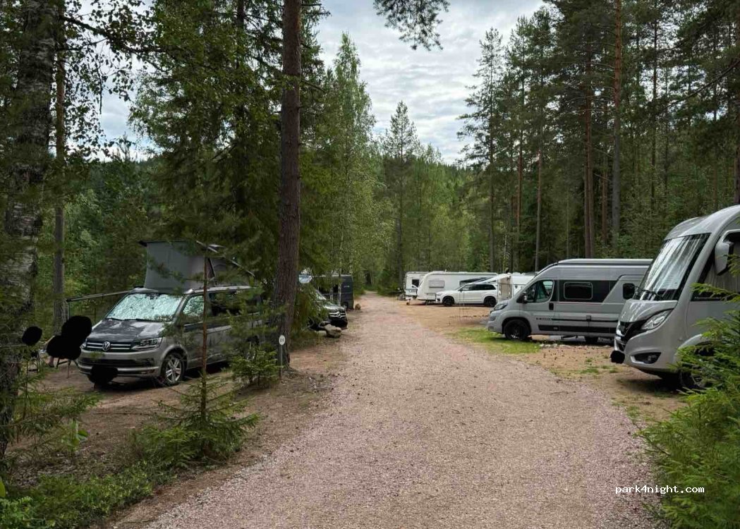 Nya Skogsgården-camping-hostel-vandrarhem — foto 5