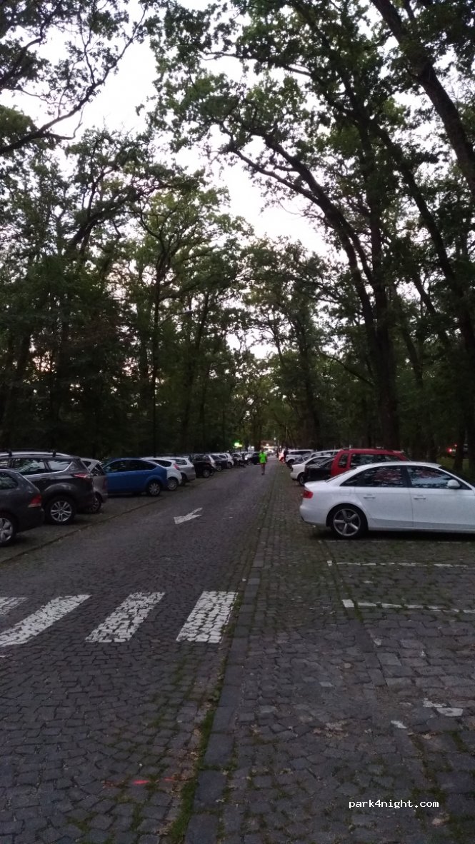 () Târgu Mureș - Verii Street — foto 3