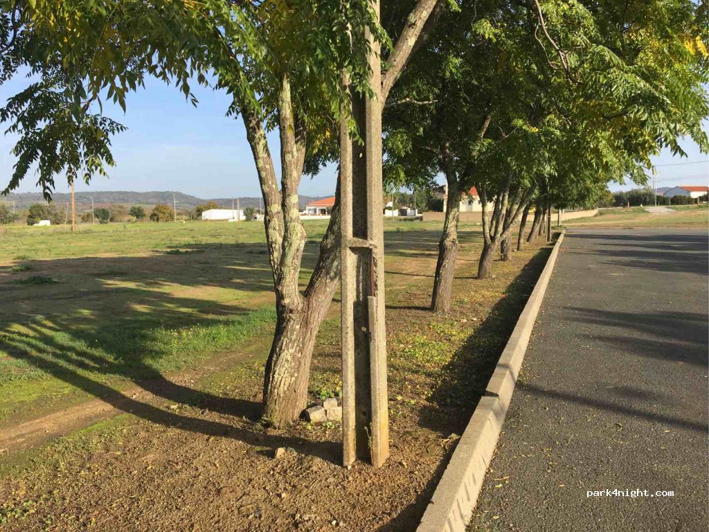 (7960) Vidigueira - 26 N258 — foto