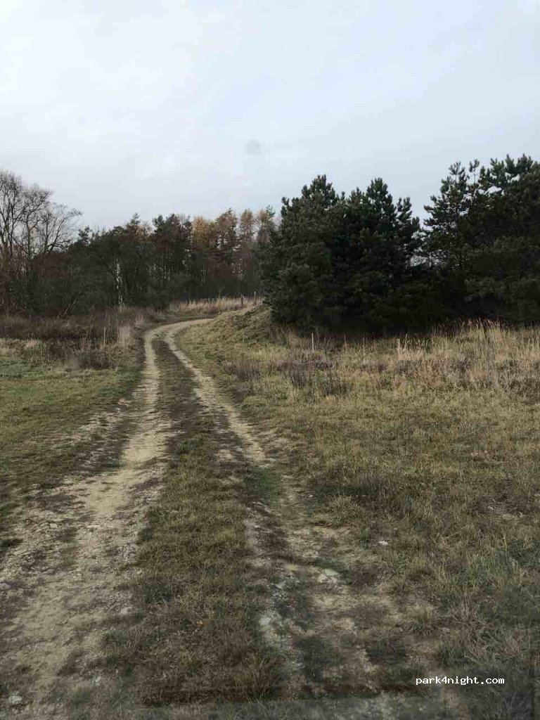 (798 55) Hvozd - 37346 — foto