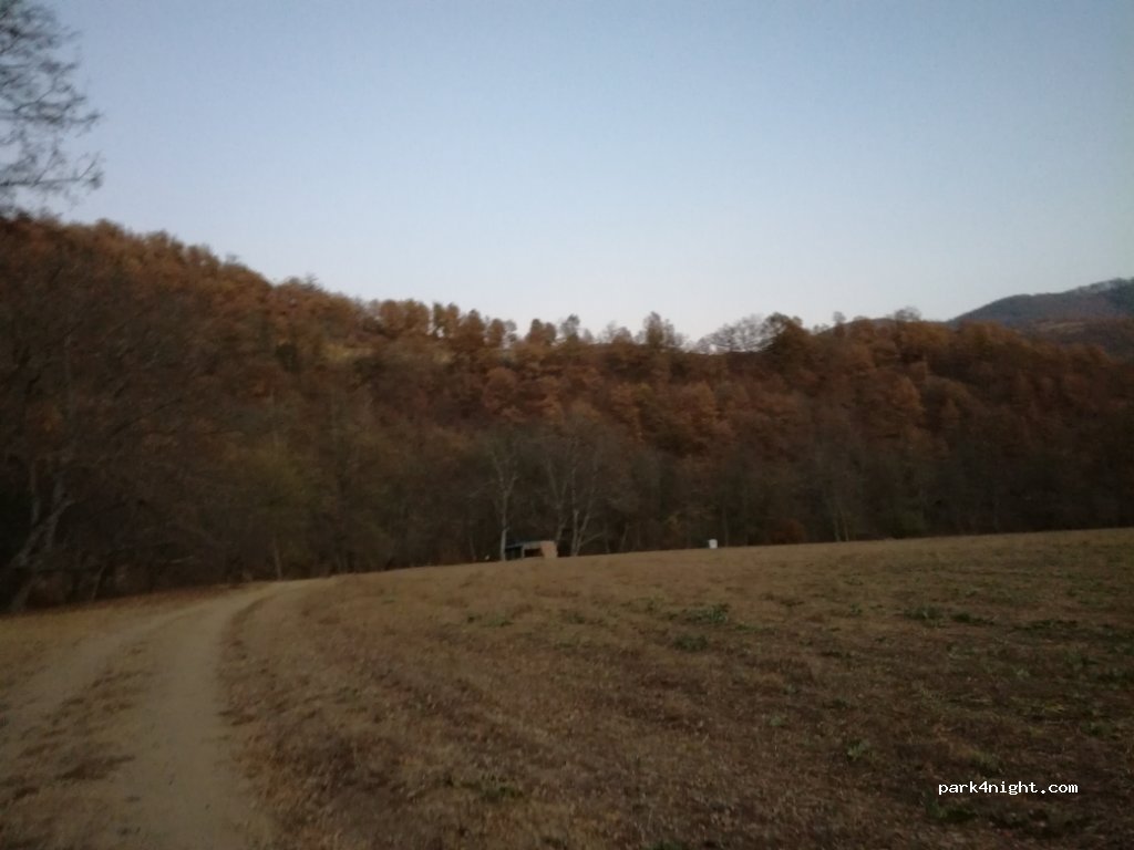 (17524) Starac - 233 — foto 3