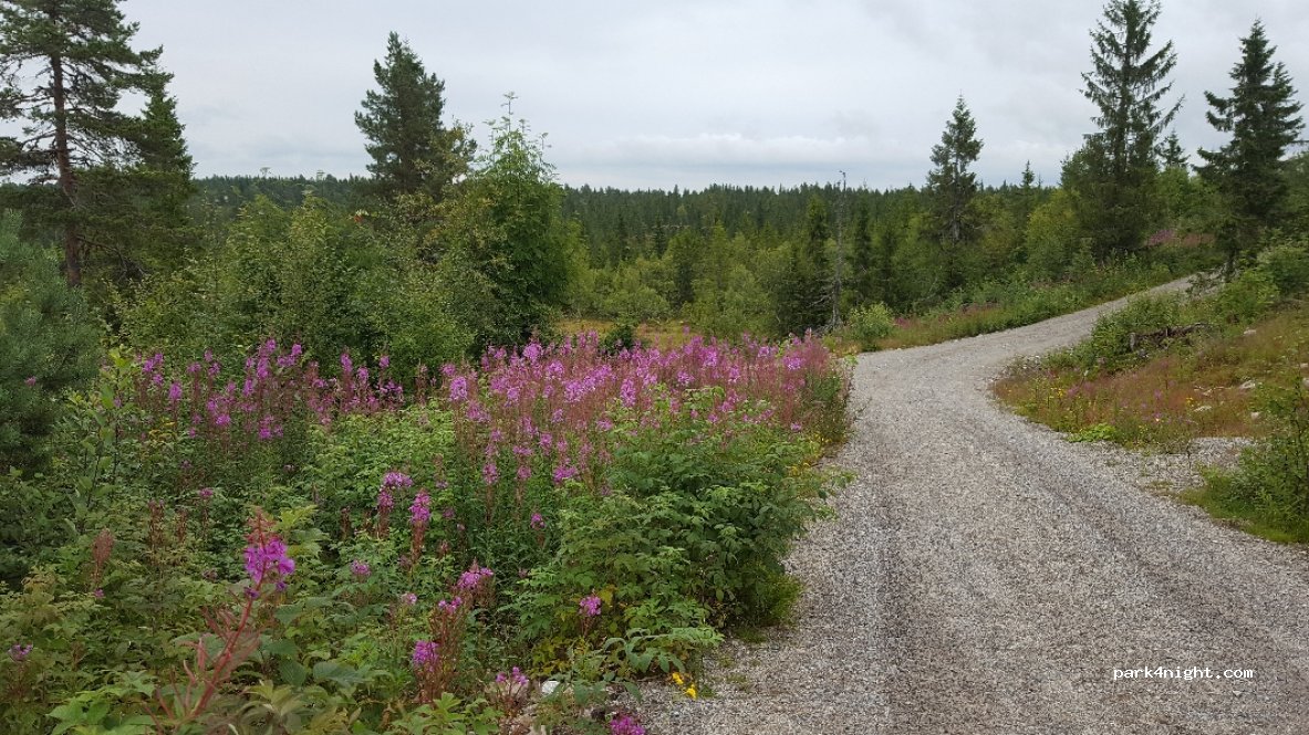 (3648)  - Unnamed Road — foto 2