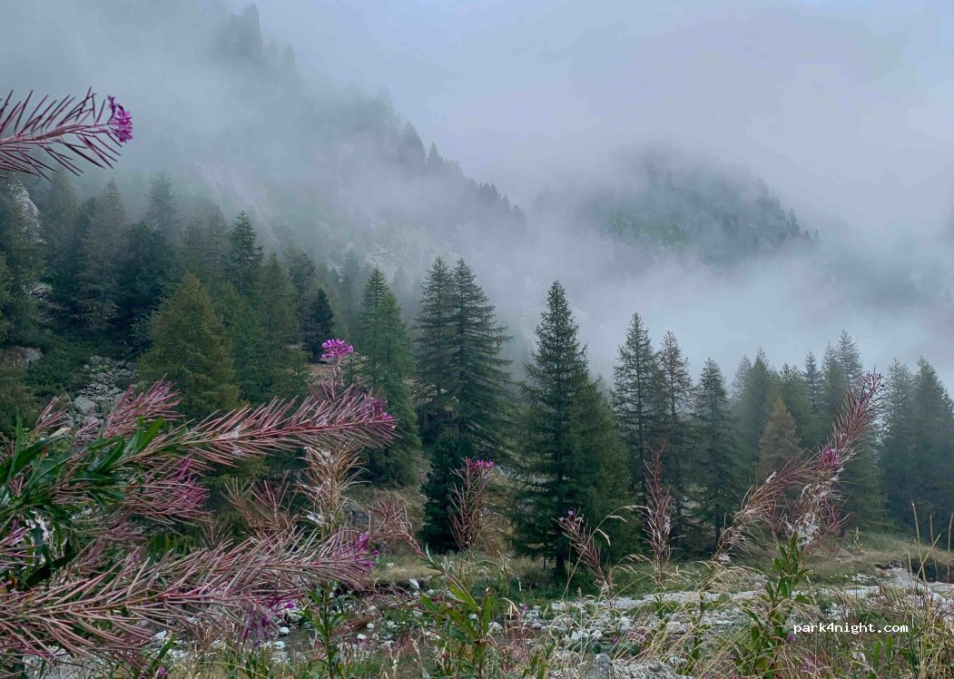 (06450) Belvédère - Gargaia — foto 3