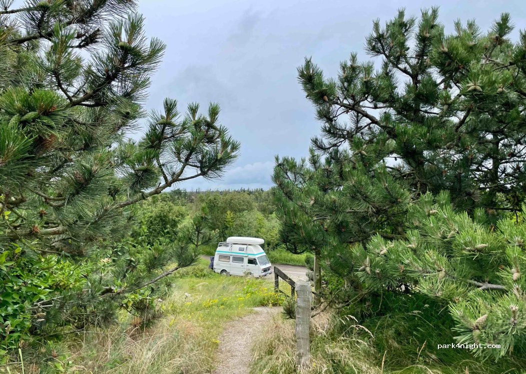 (4970) Rødby - 9 Lyttesholmvej — foto 3