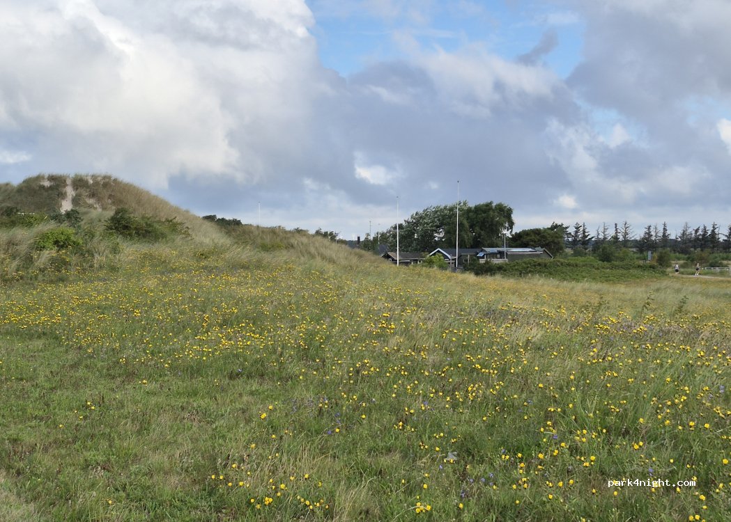(4970) Rødby - 9 Lyttesholmvej — foto 5