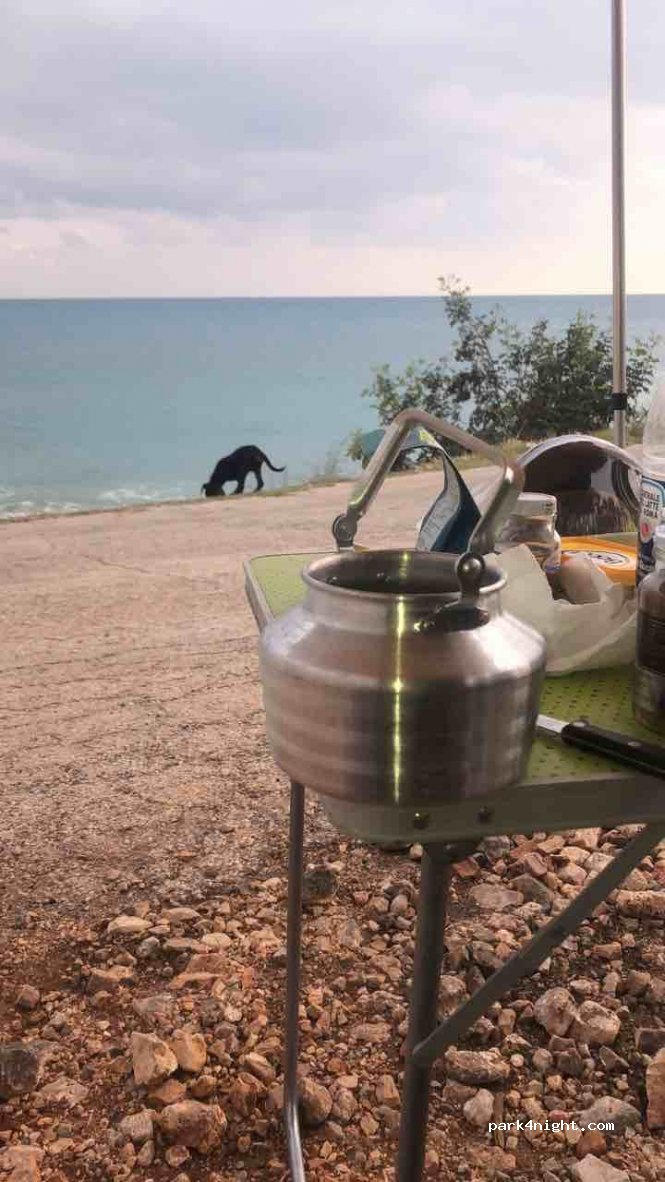 (33900)  - Mersin - Antalya Yolu — foto 2