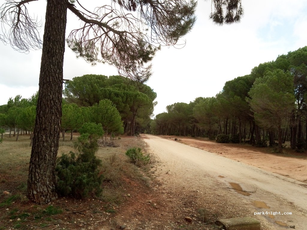 (16200) Motilla del Palancar - Unnamed Road — foto