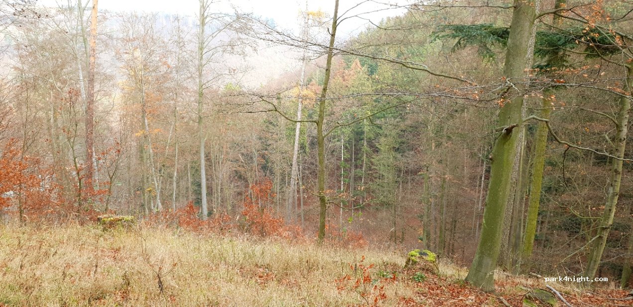 (678 01) Blansko - Unnamed Road — foto 2