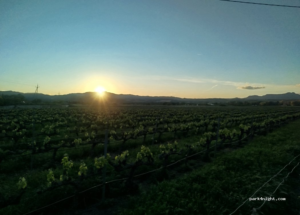 (43748) Ginestar - 26 Carrer del Riu — foto 4