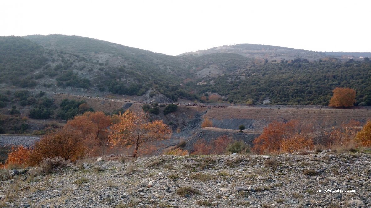 (591 32)  - Unnamed Road — foto 2