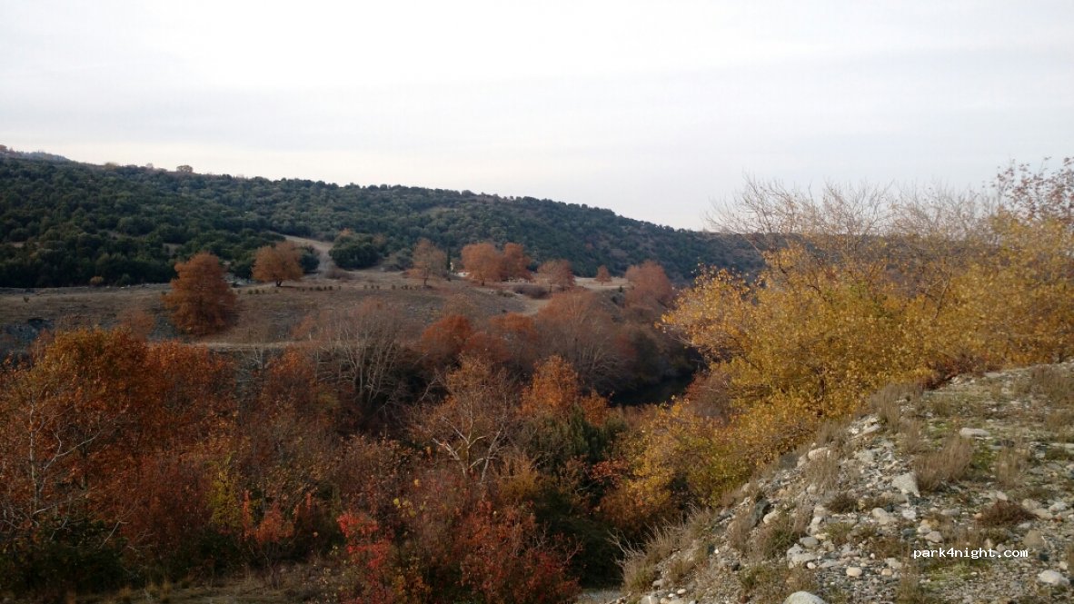 (591 32)  - Unnamed Road — foto 3