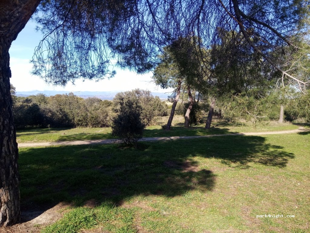 (28222) Majadahonda - Camino de la Dehesa — foto 4