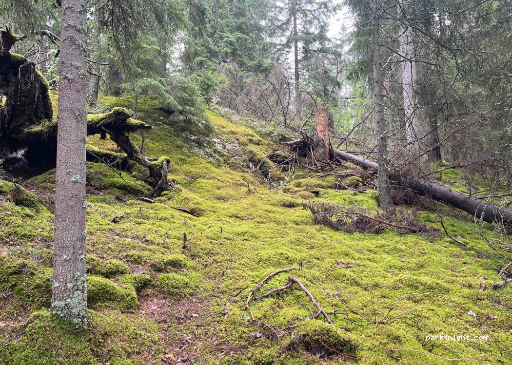 (695 97)  - 1A ÖSJÖNÄS LÄGERGÅRD — foto 2