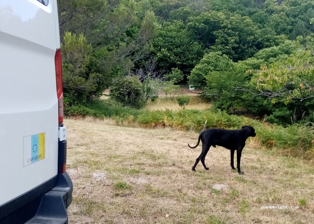 (07110) Prunet - Clastre — foto 3