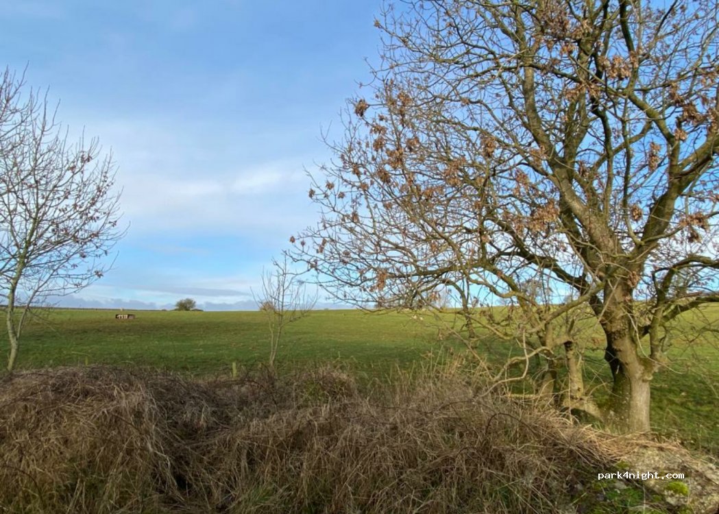 (DE45) Bakewell - B5055 — foto 4
