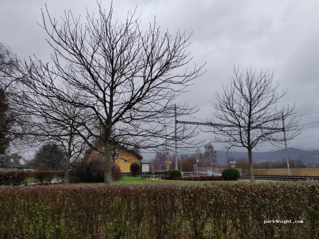 (788 15) Velké Losiny - Lázeňská — foto 2