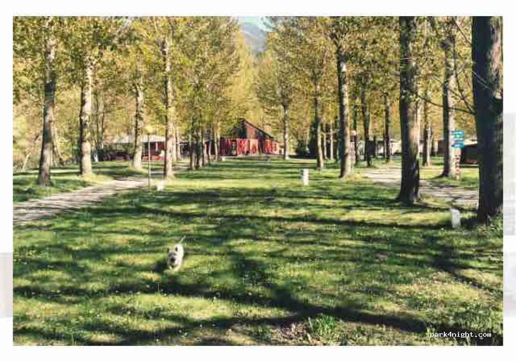 Camping Aigues Braves de Llavorsi — foto