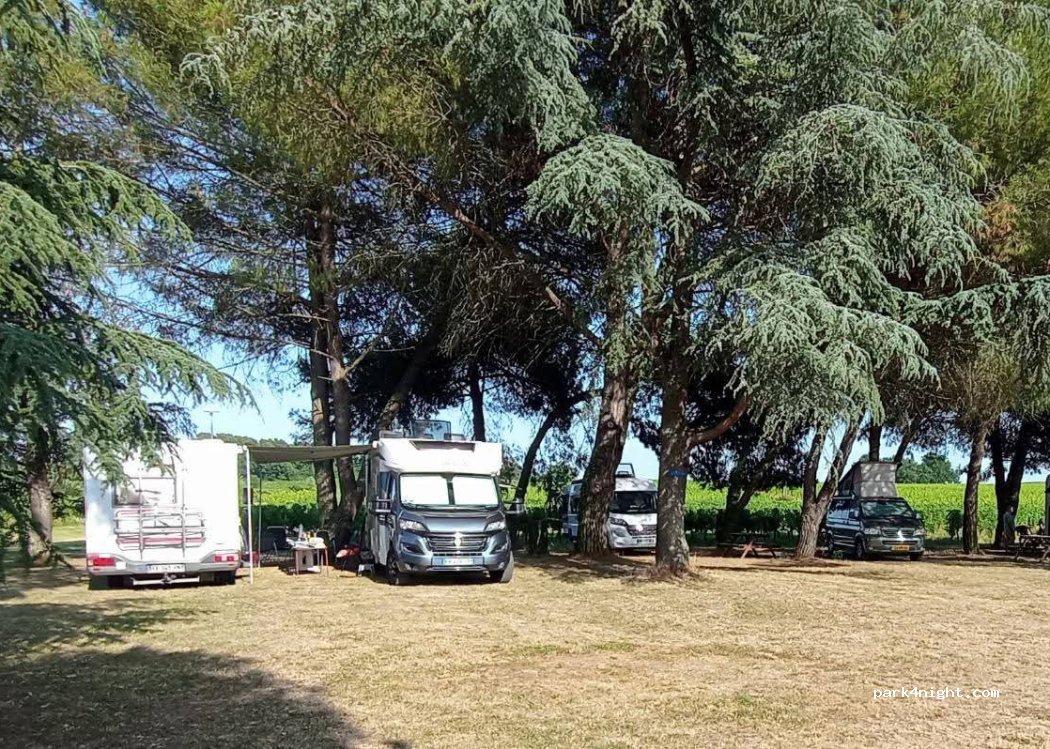 Domaine de Brandeau — foto 4