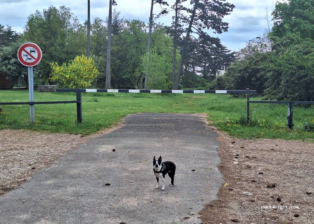 (21420) Pernand-Vergelesses - Unnamed Road — foto 2
