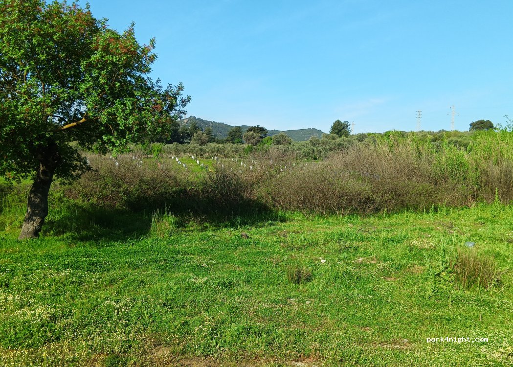 (35470)  - Unnamed Road — foto 5