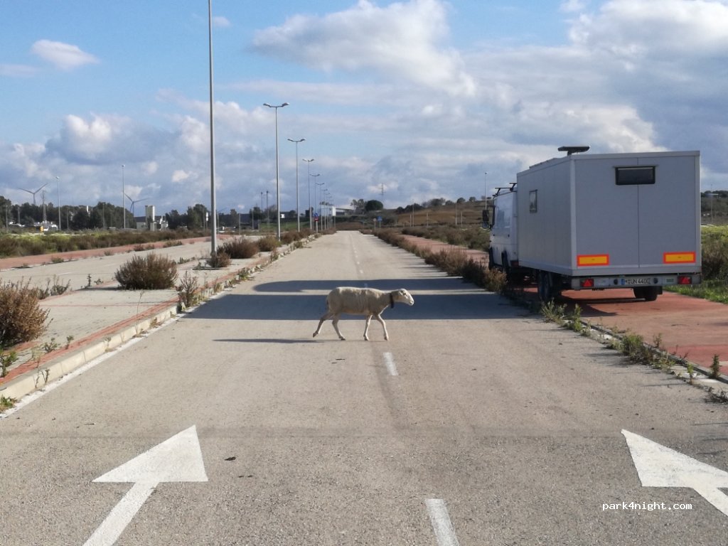 (11170) Cádiz - Polígono Industrial el Machorro — foto 4