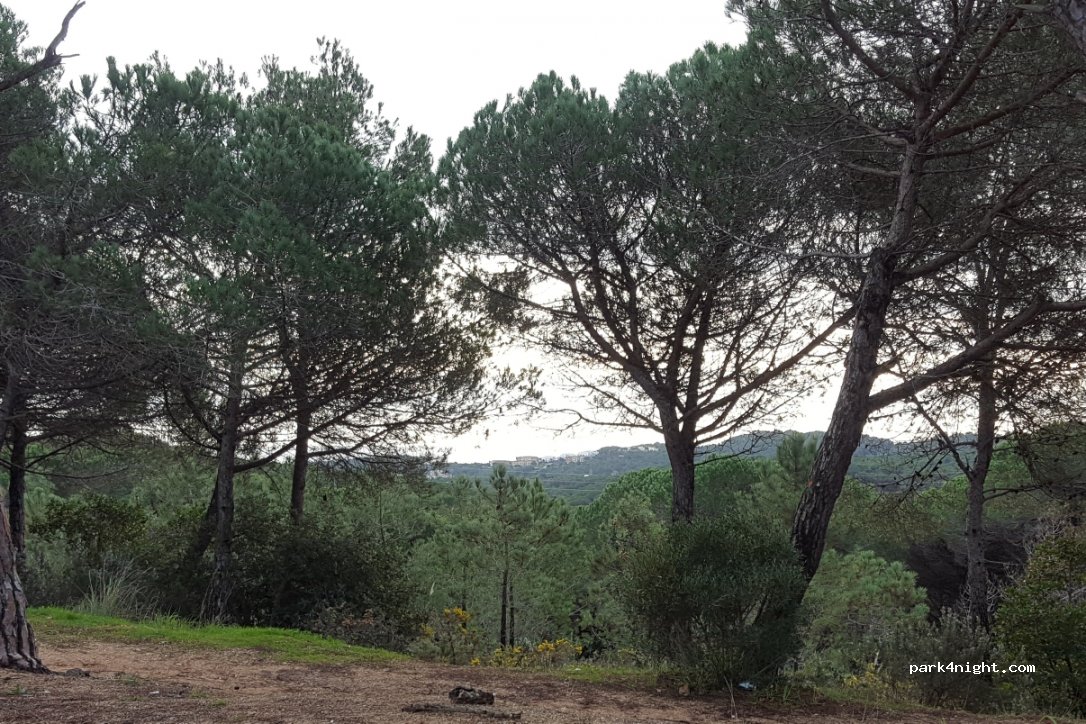 (17310) Lloret de Mar - Unnamed Road — foto