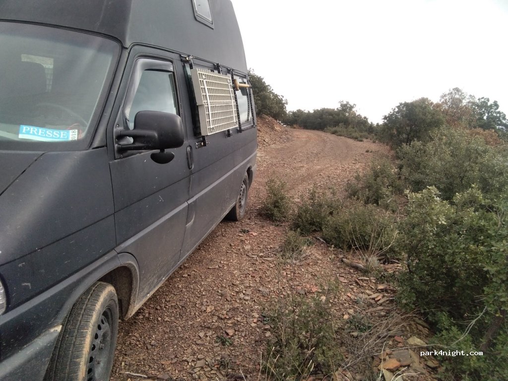 (44231) Castejón de Tornos - Unnamed Road — foto 2