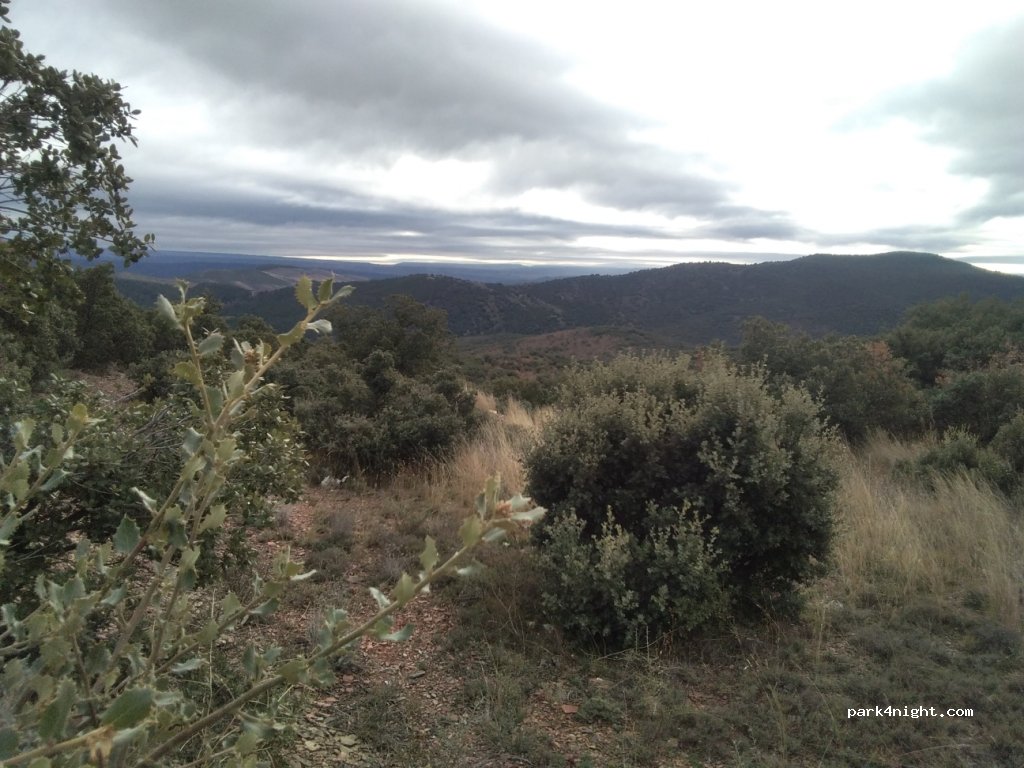 (44231) Castejón de Tornos - Unnamed Road — foto 3