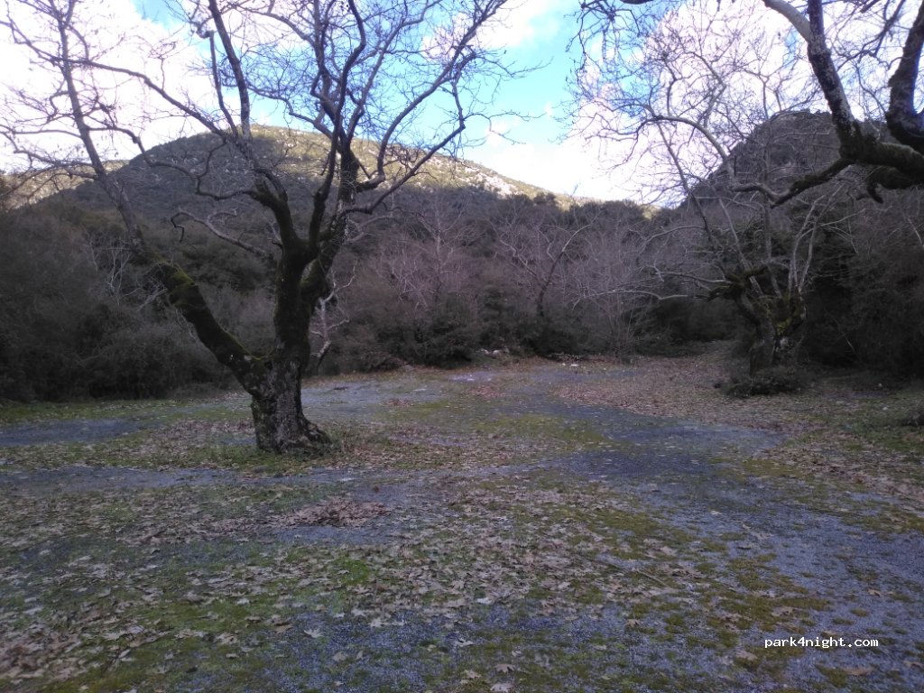 (222 00)  - Eparchiaki Odos Sirtzi-Megalopolis — foto 3