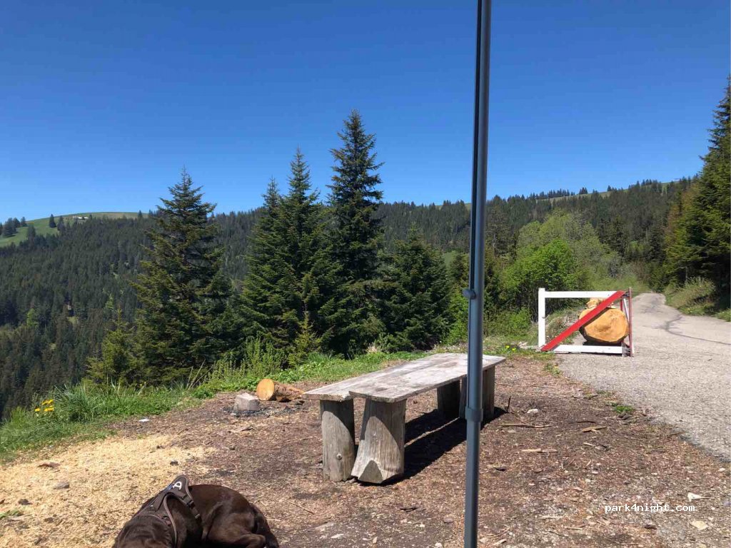 (1618) Châtel-Saint-Denis - Route du Perry — foto
