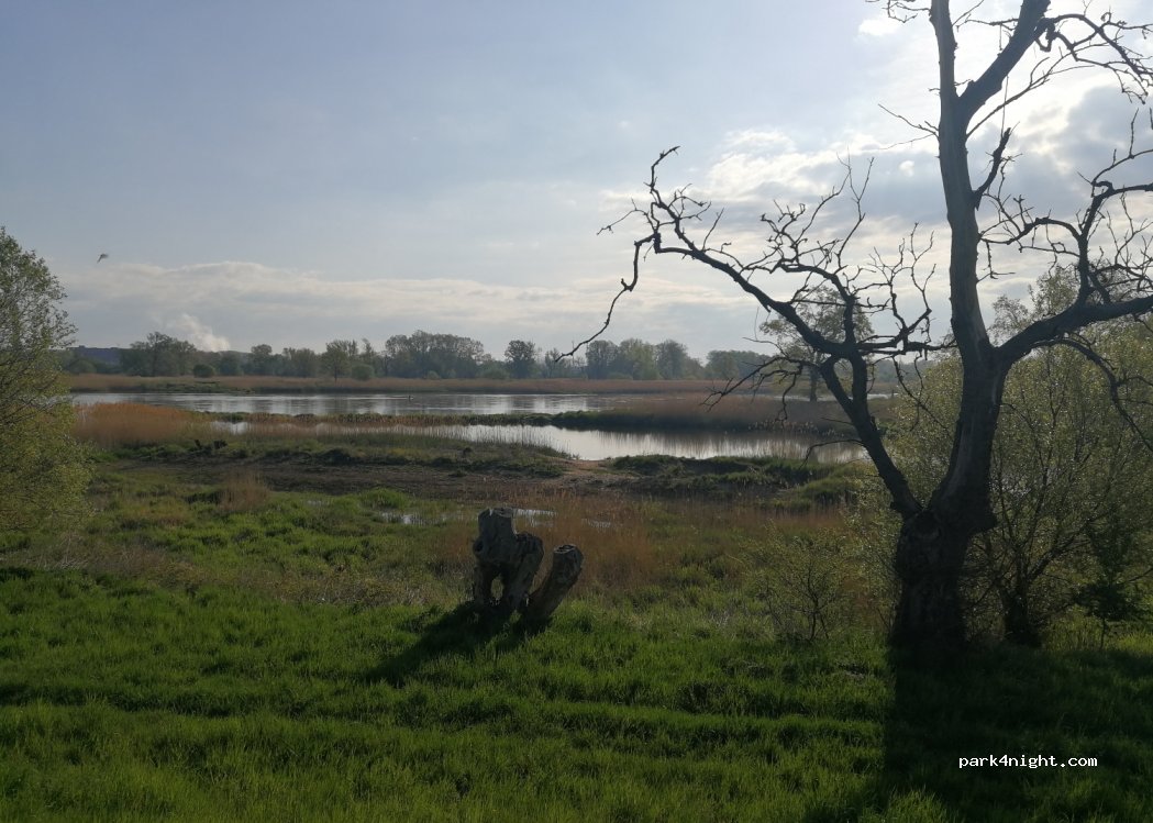 Fischereihof Schneider an der Festung Küstrin — foto 3