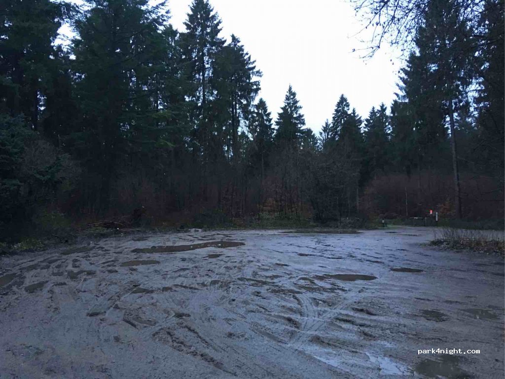 (21465) Reinbek - 6 Oher Tannen — foto