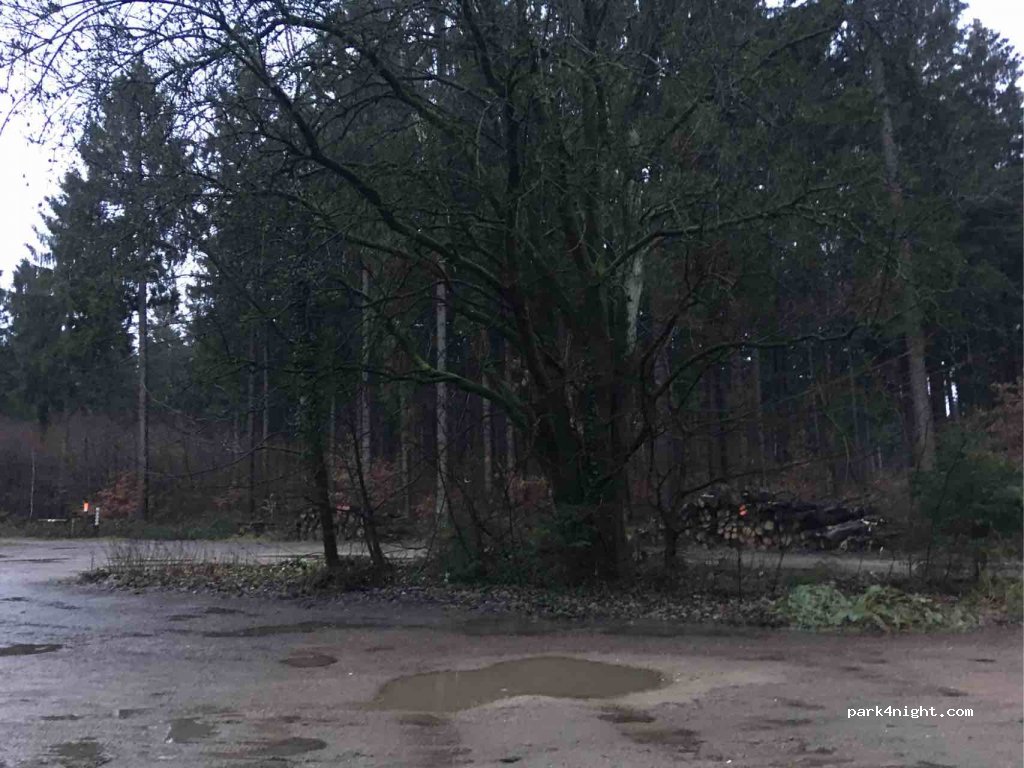 (21465) Reinbek - 6 Oher Tannen — foto 2