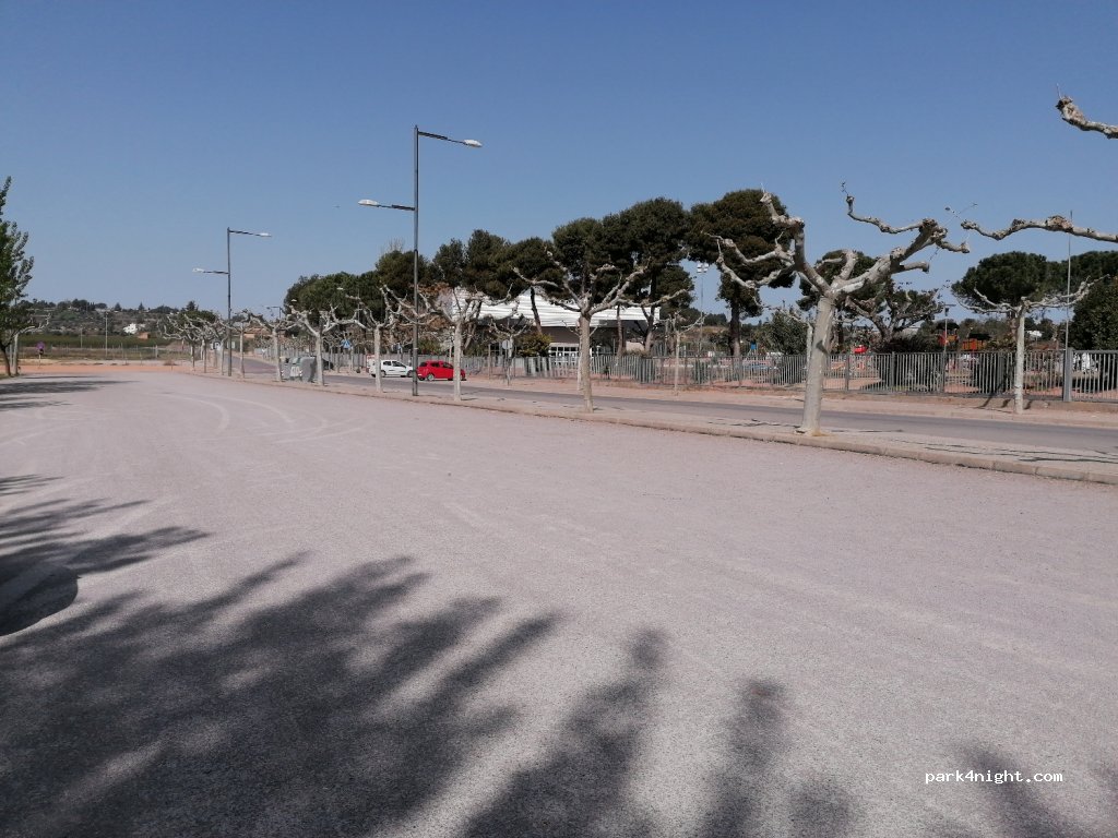 (25110) Alpicat - 141 Carrer Mossèn Cinto Verdaguer — foto