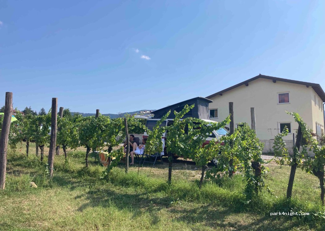 Camping Saksida — foto 4